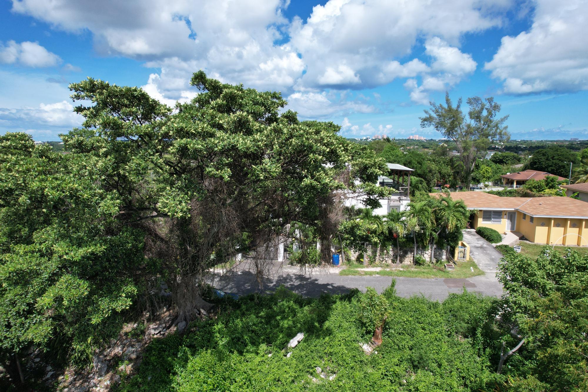BLOSSOM AVENUE, G