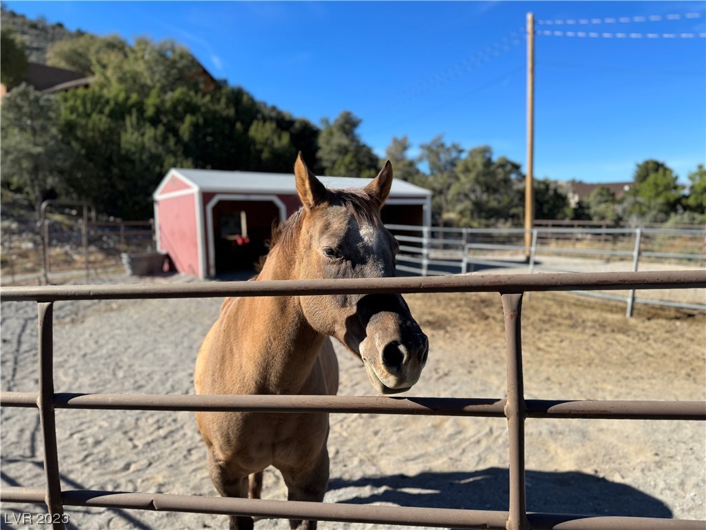 18785 Mater Mea Place