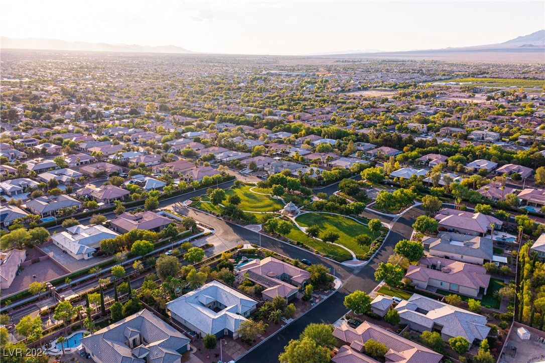 7293 Olsen Farm Street