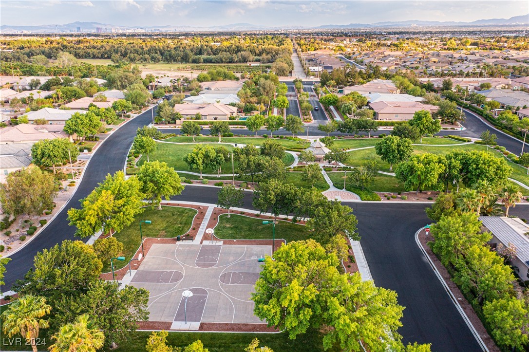 7293 Olsen Farm Street