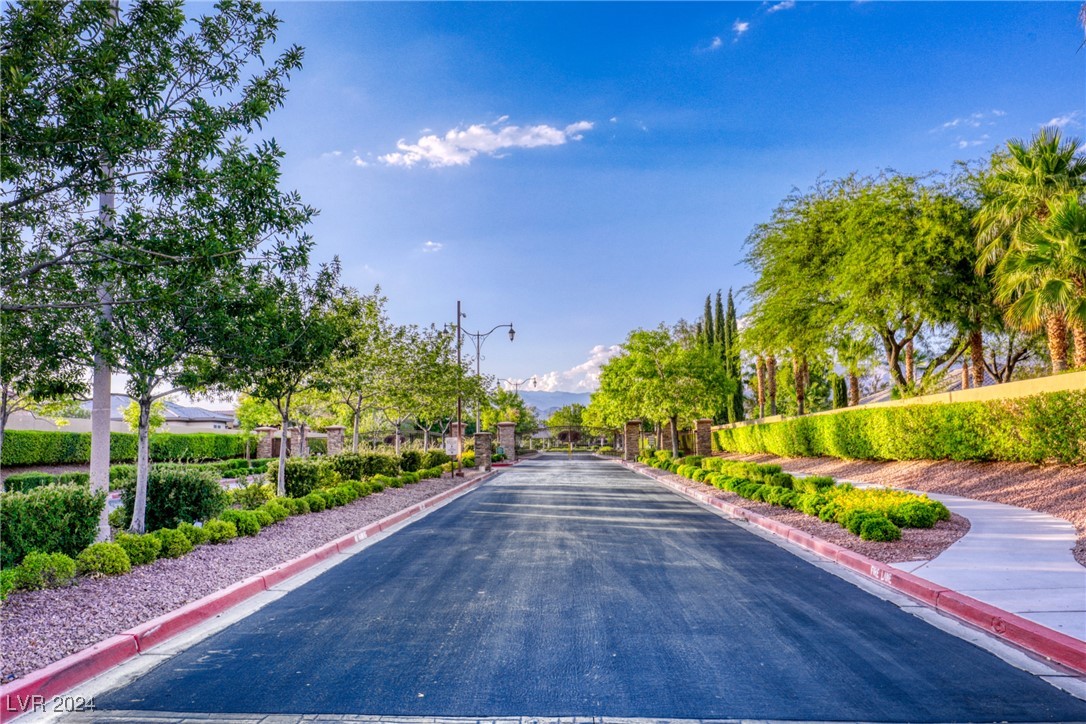 7293 Olsen Farm Street