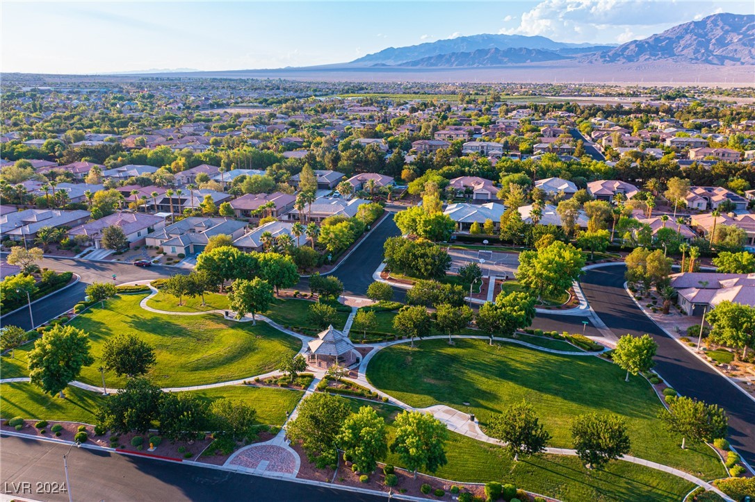 7293 Olsen Farm Street