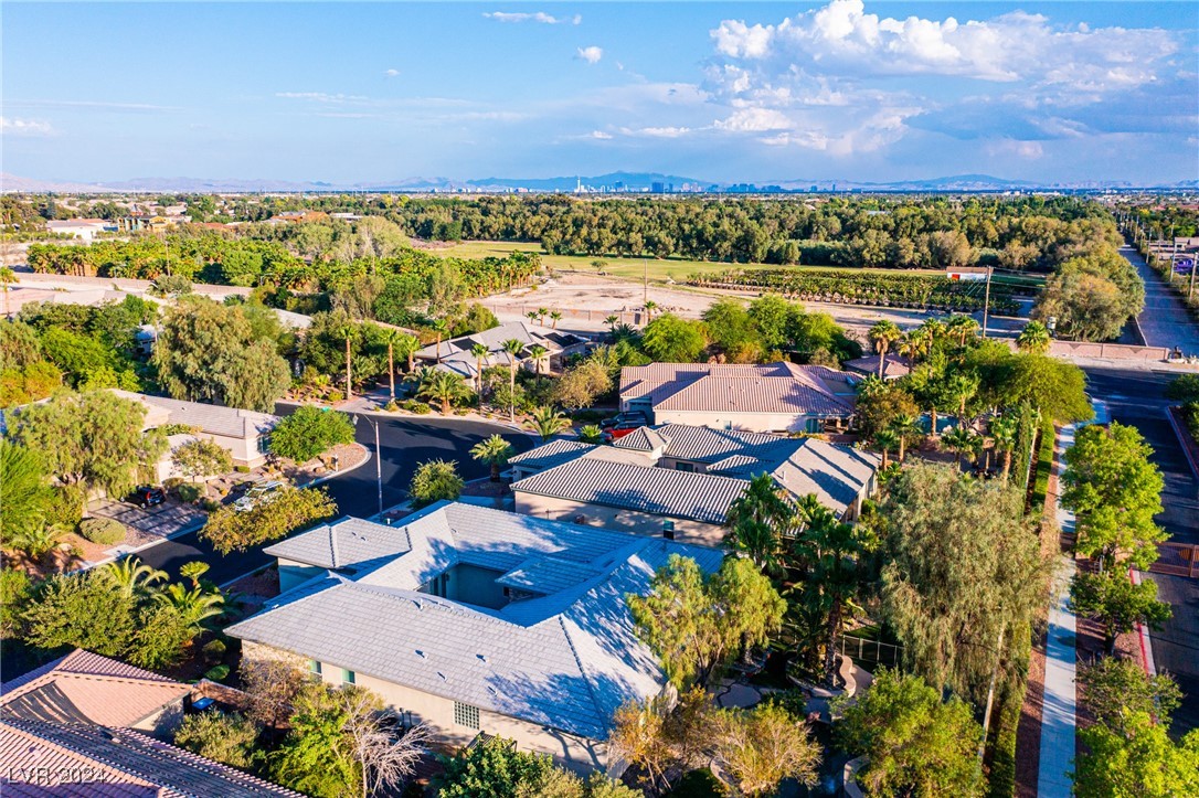 7293 Olsen Farm Street