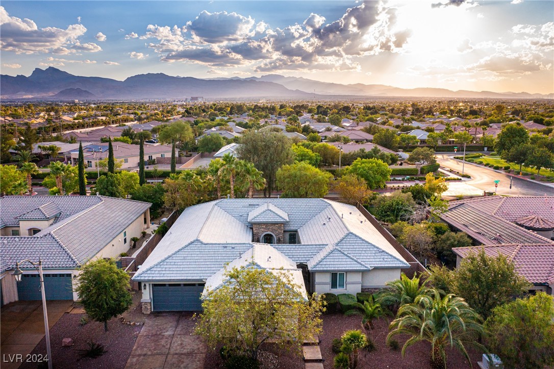 7293 Olsen Farm Street