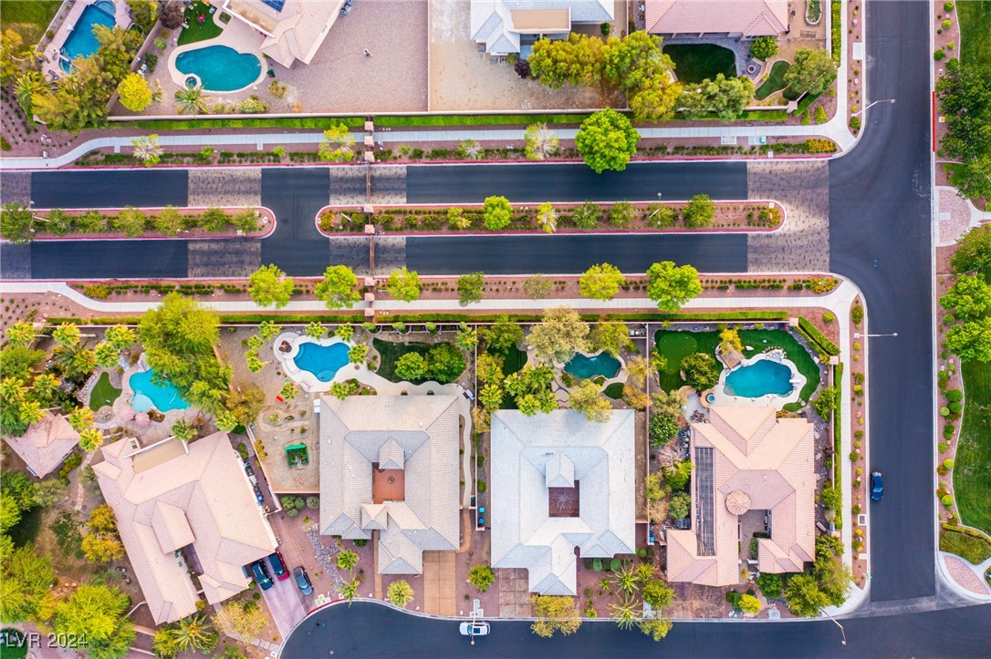 7293 Olsen Farm Street