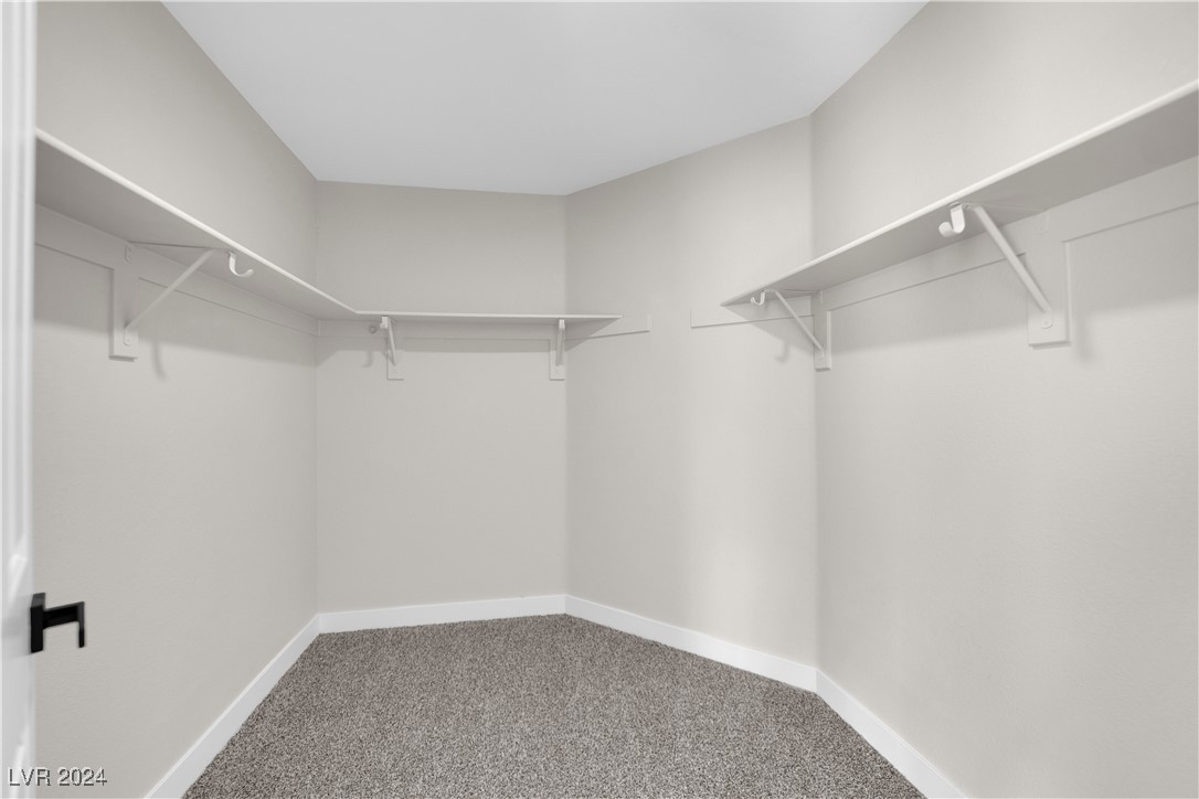 203 Shadow Pointe Street