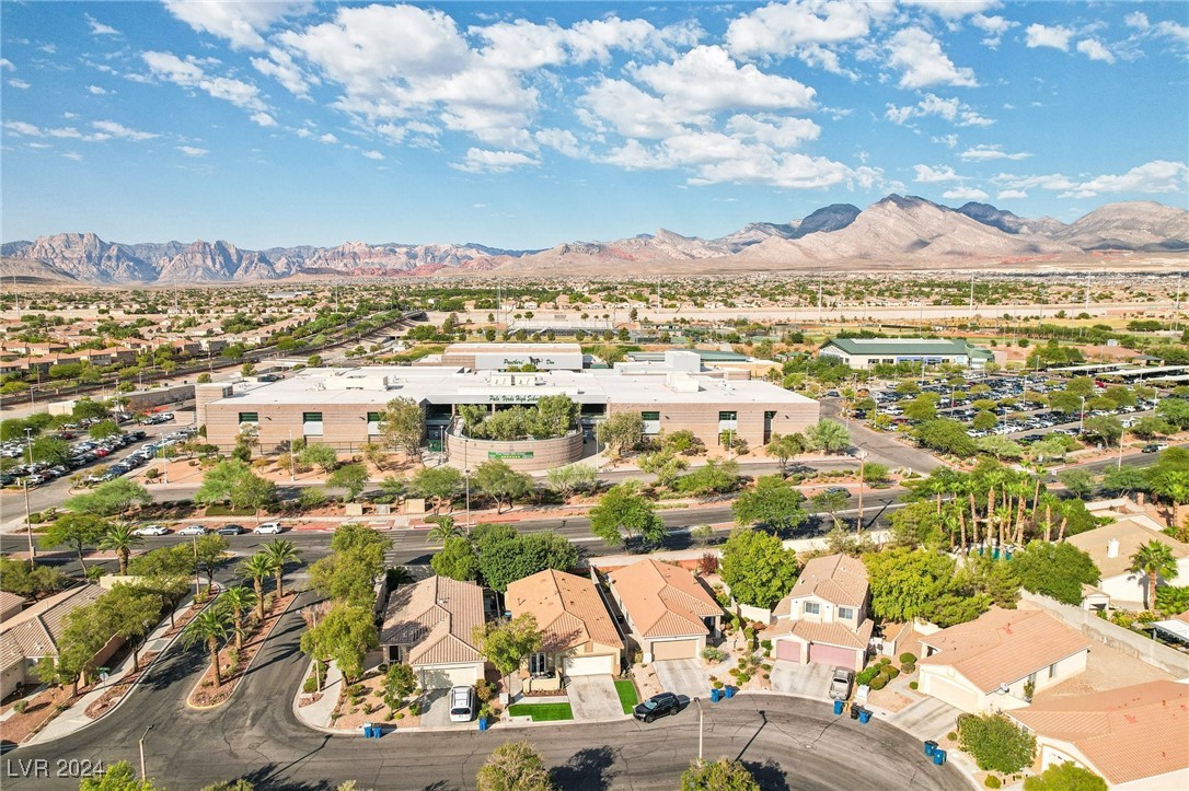 309 Jacaranda Arbor Street