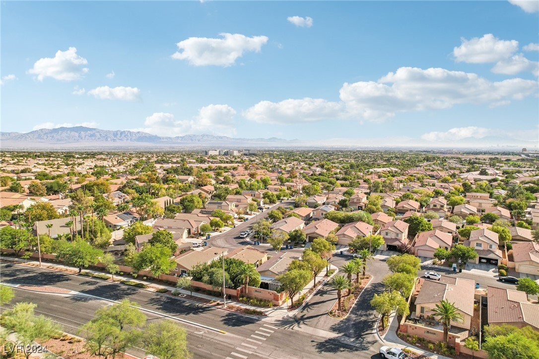 309 Jacaranda Arbor Street