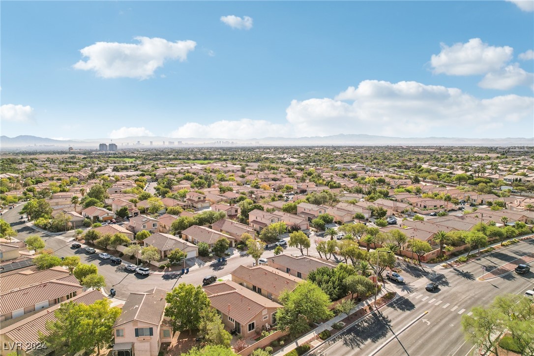 309 Jacaranda Arbor Street