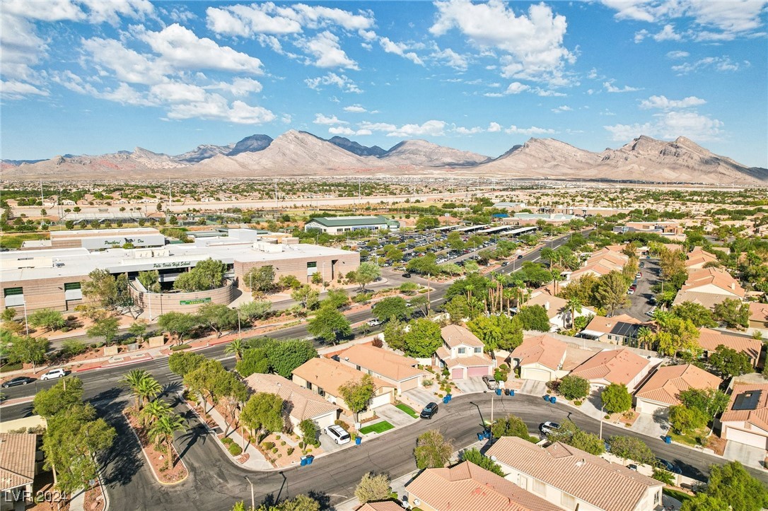 309 Jacaranda Arbor Street