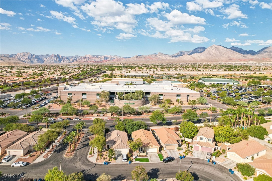 309 Jacaranda Arbor Street