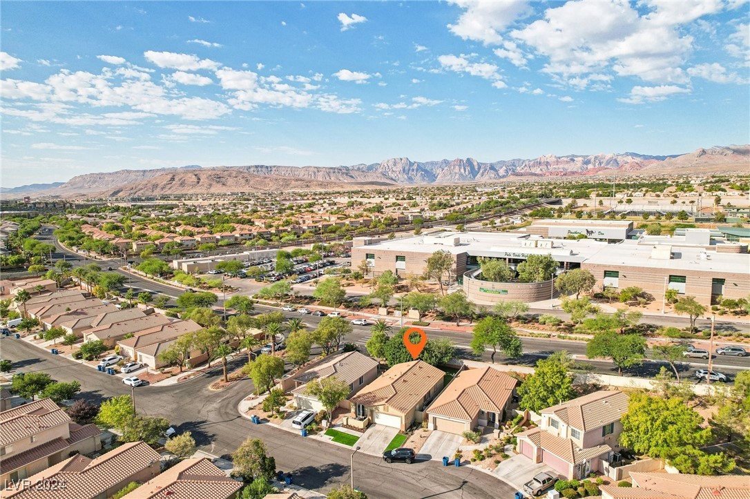 309 Jacaranda Arbor Street