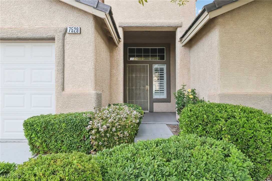 7529 Evening Falls Drive