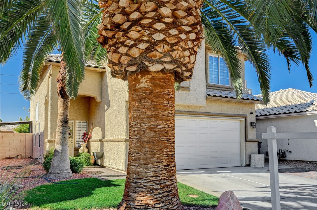 2301 Blackberry Valley Way