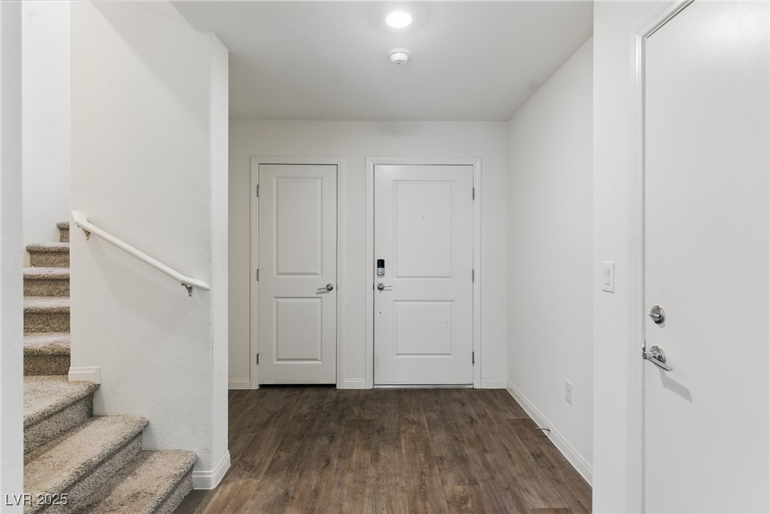 6850 Magenta Moon Street