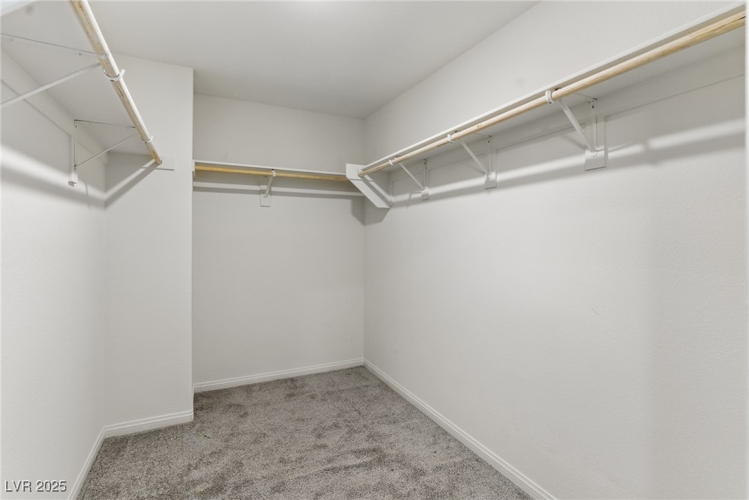 6850 Magenta Moon Street