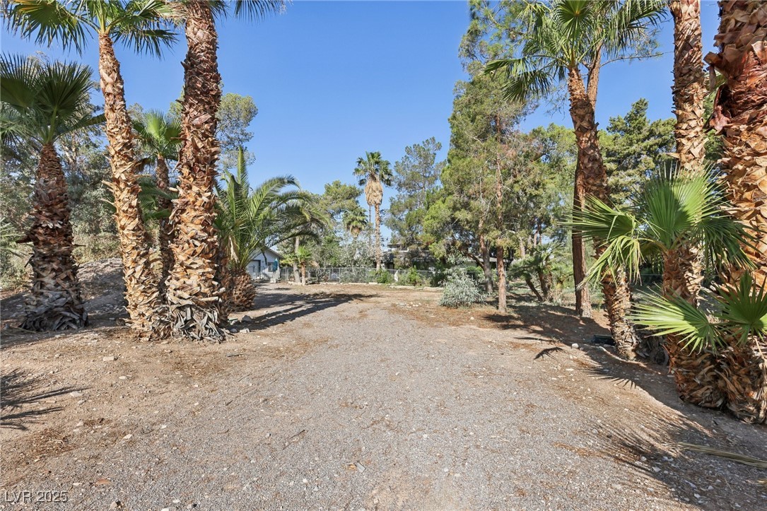 55 Siddall Avenue