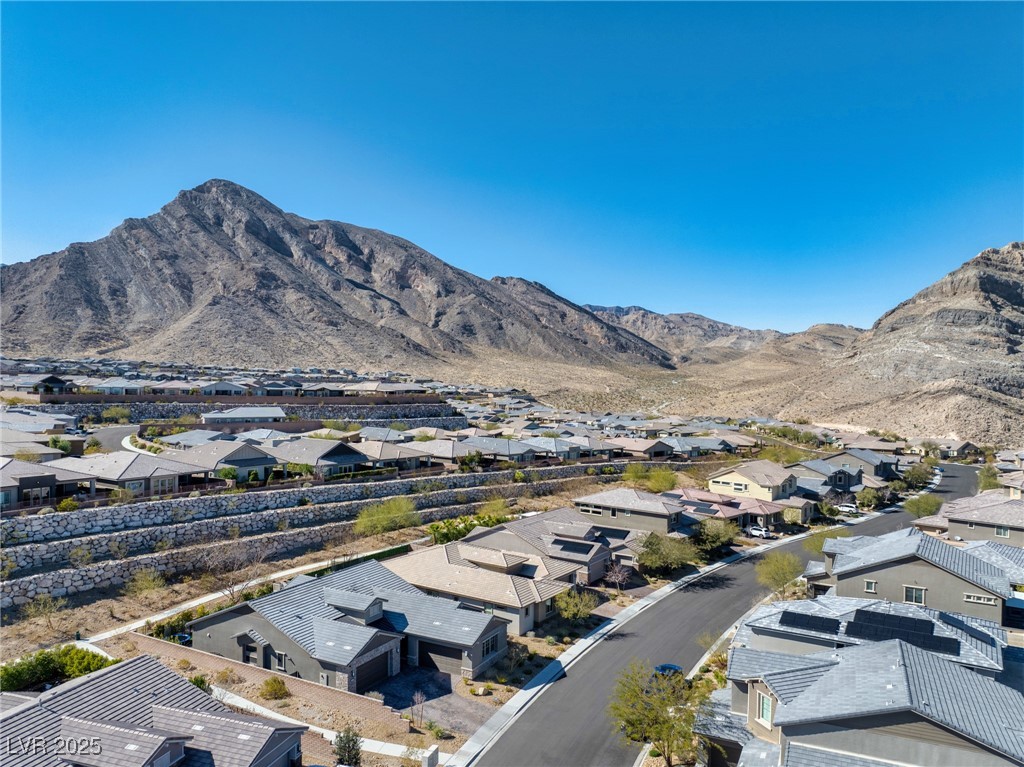 2931 Raywood Ash Drive