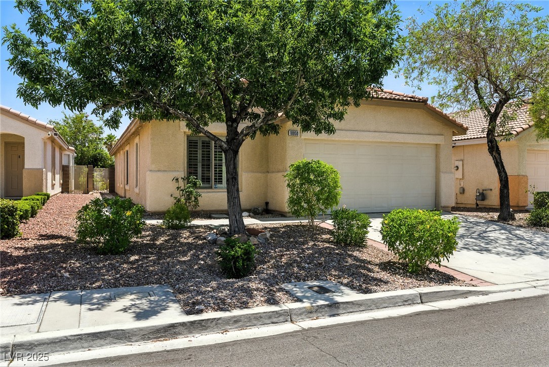 10950 Crispinio Street