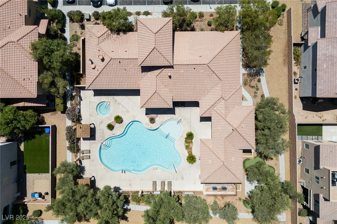 10479 Asana Street