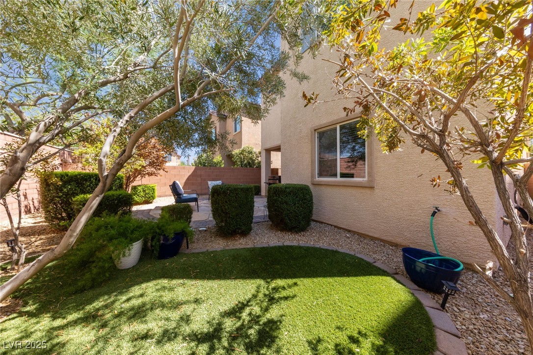 10479 Asana Street