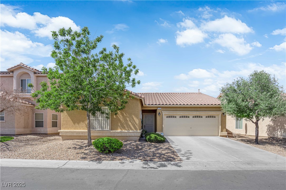 3752 Calle De Rio Avenue