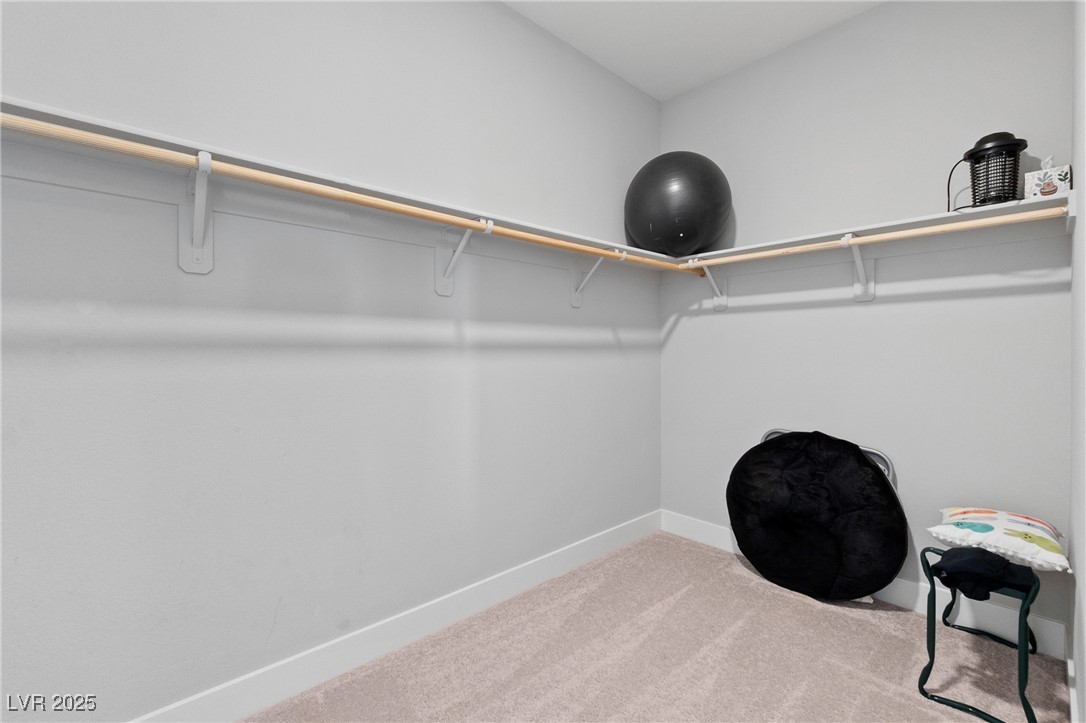 7736 Tioga Ridge Court