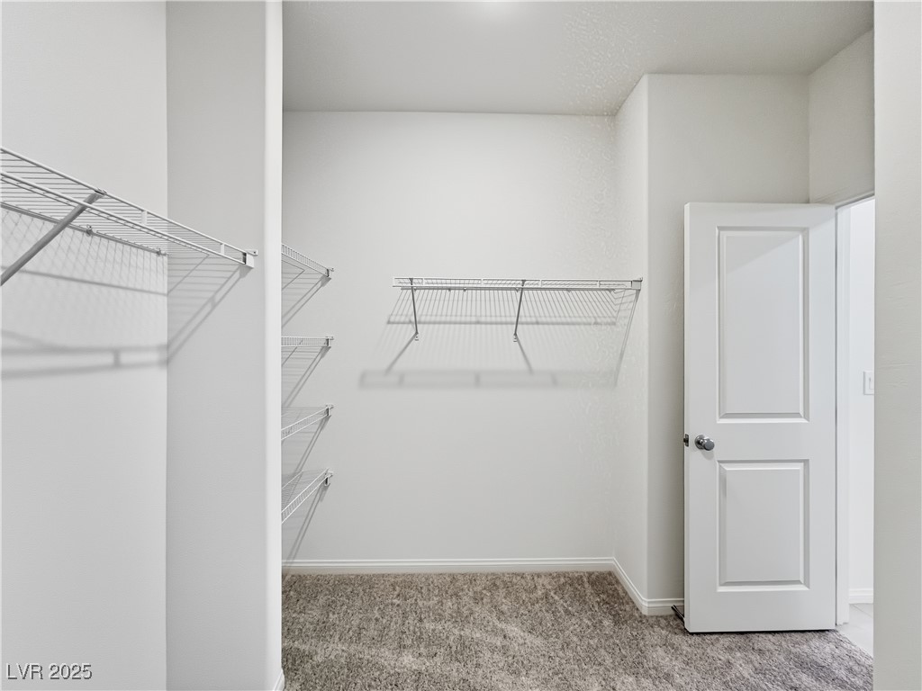 1606 Rock Kestrel Street