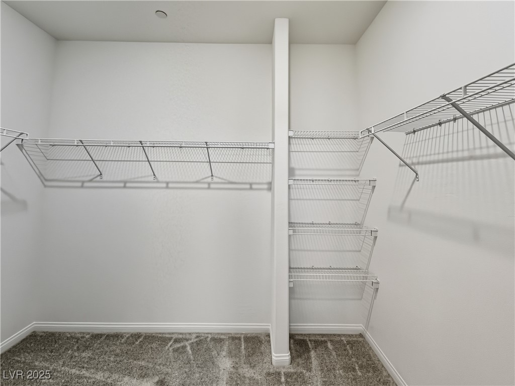 1606 Rock Kestrel Street