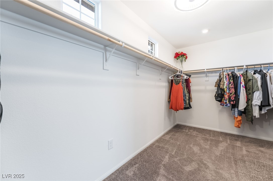 675 Turtleback Falls Avenue