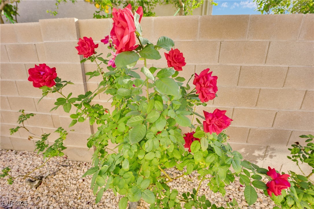 331 Mount Hope Street