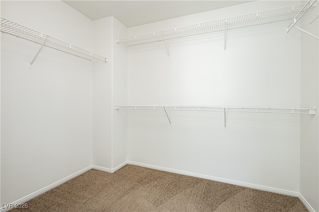 1550 Midnight Cowboy Court