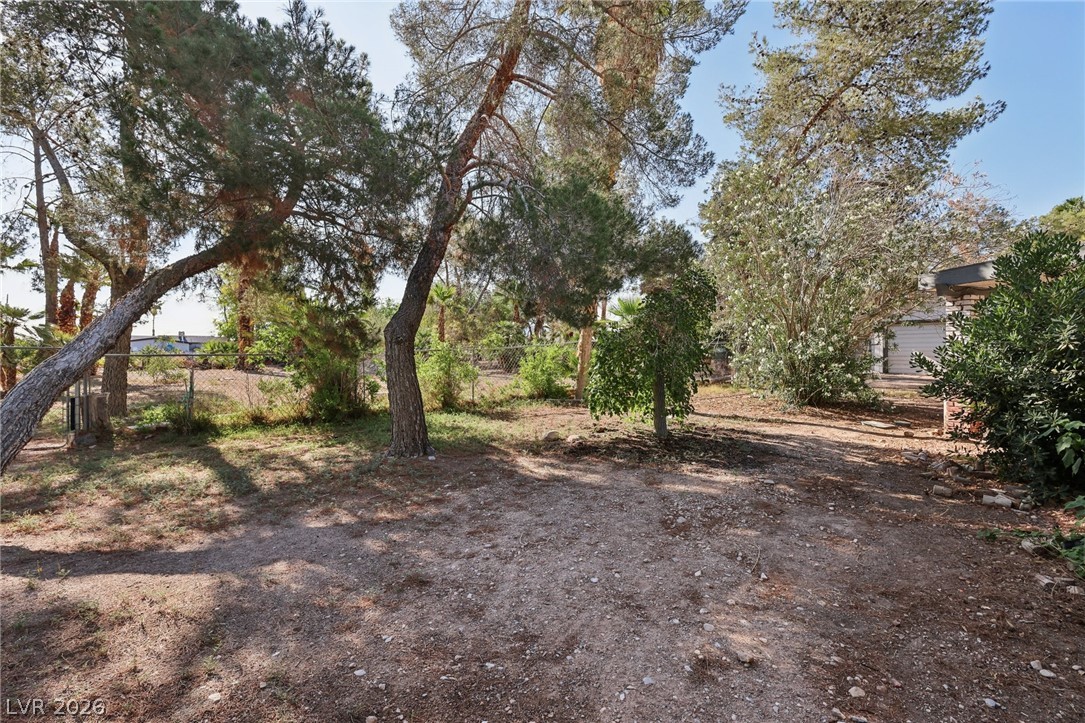 55 Siddall Avenue