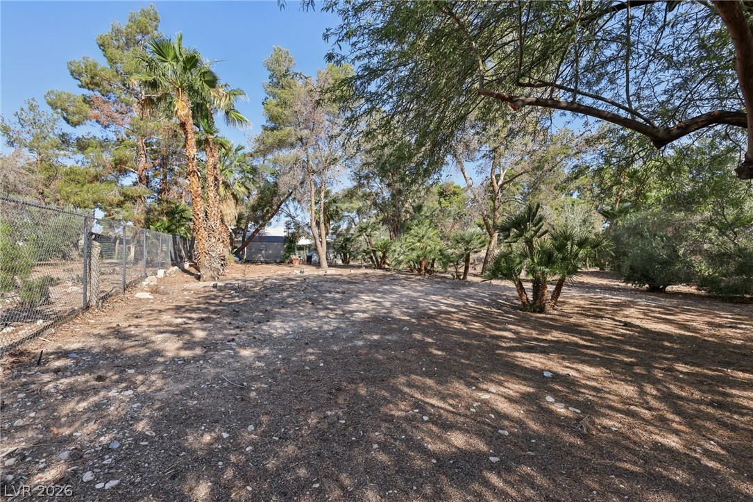 55 Siddall Avenue