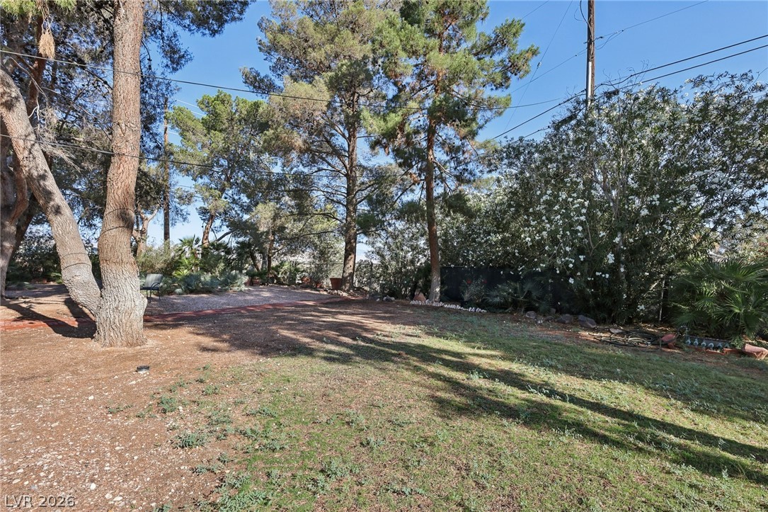 55 Siddall Avenue