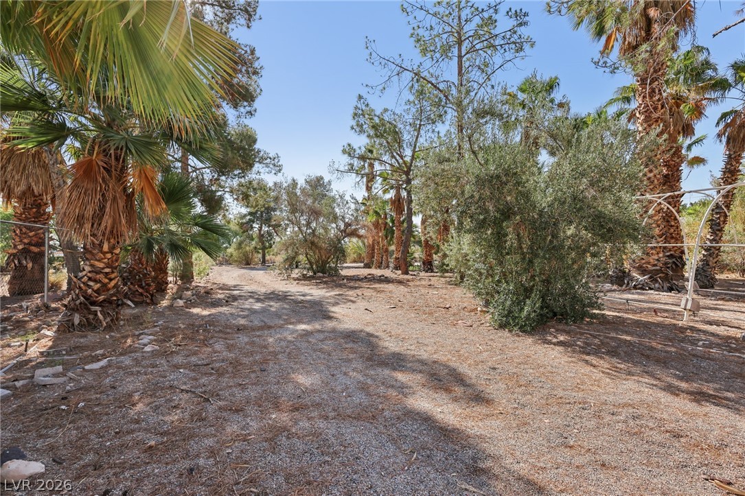 55 Siddall Avenue