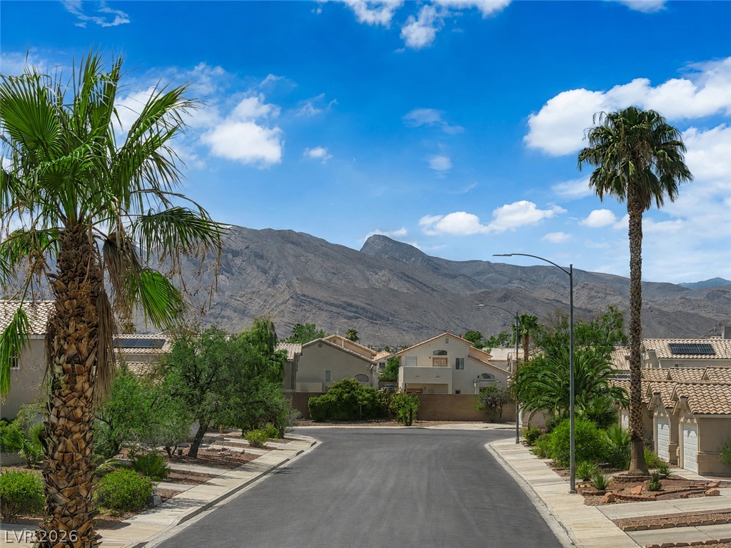 3629 Copper Cactus Drive