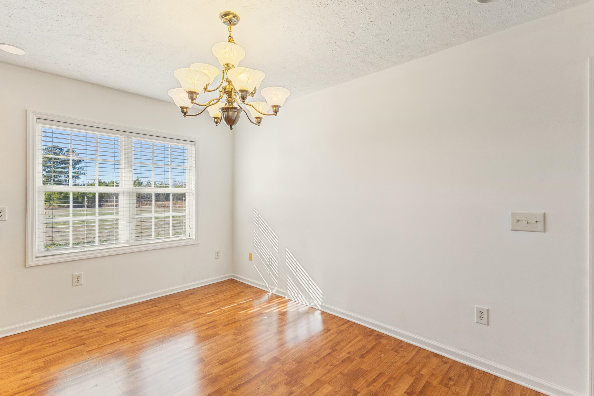3923 Fair Bluff Hwy.