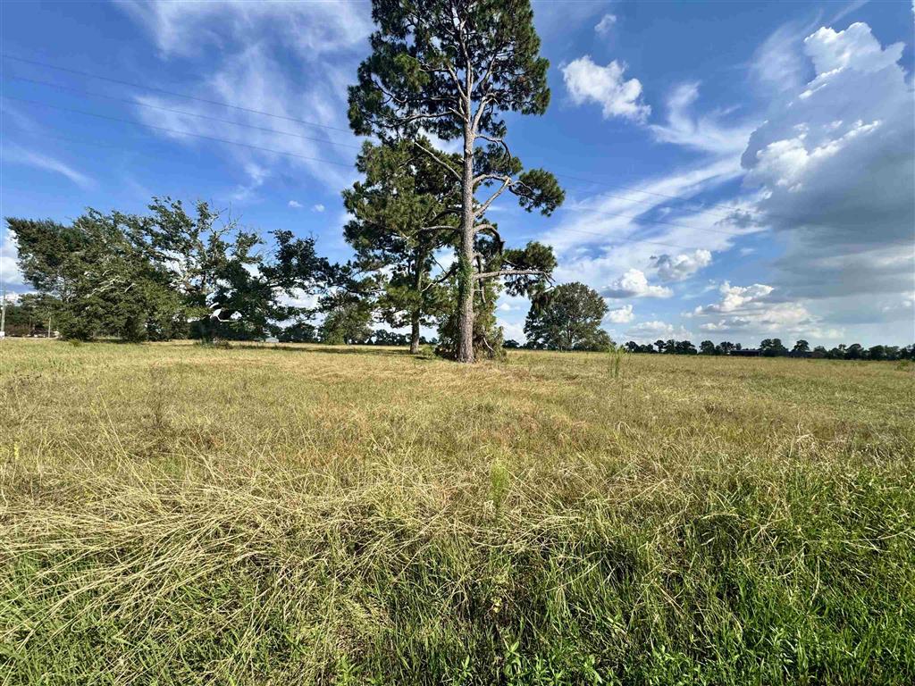 NIELSON RD & CHARLIE KUNTZ RD Road