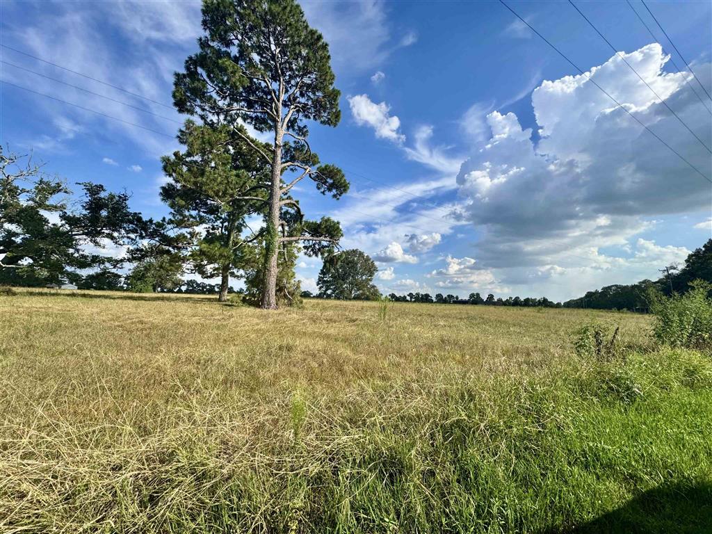 NIELSON RD & CHARLIE KUNTZ RD Road