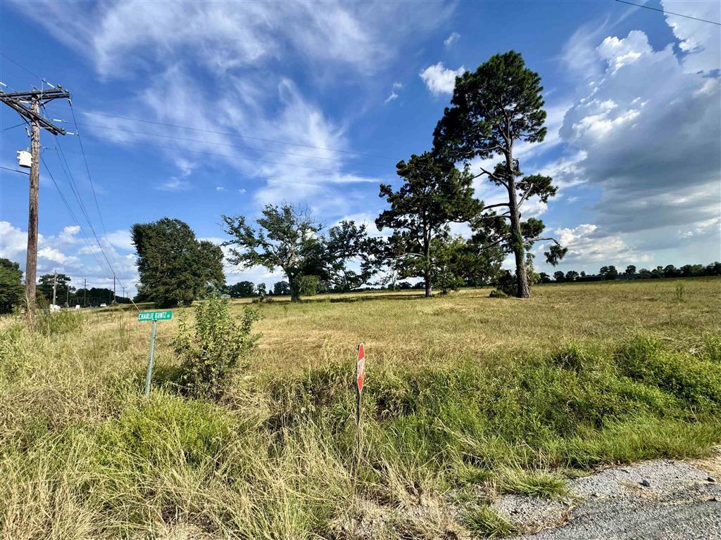 NIELSON RD & CHARLIE KUNTZ RD Road