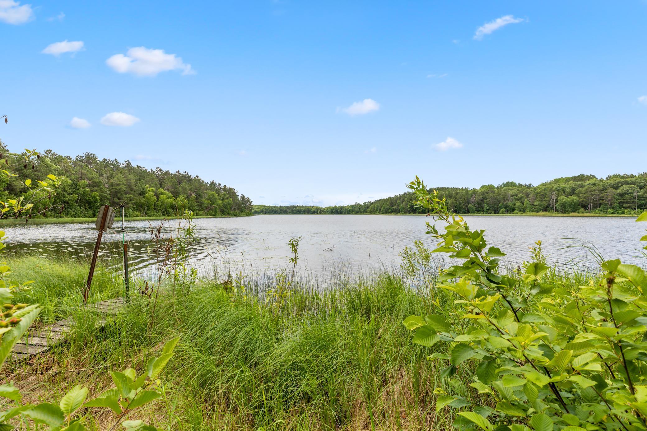 29015 County Road 3