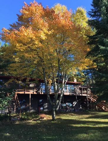 23101 Great Pine Trail