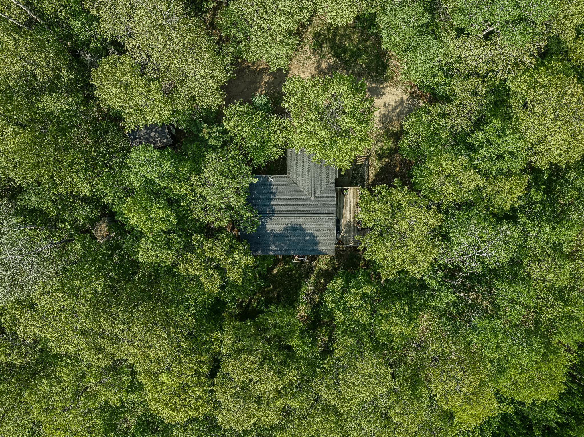 17318 Snowshoe Drive