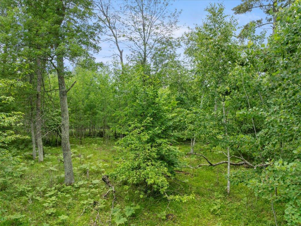 24549 Perrin Pt.