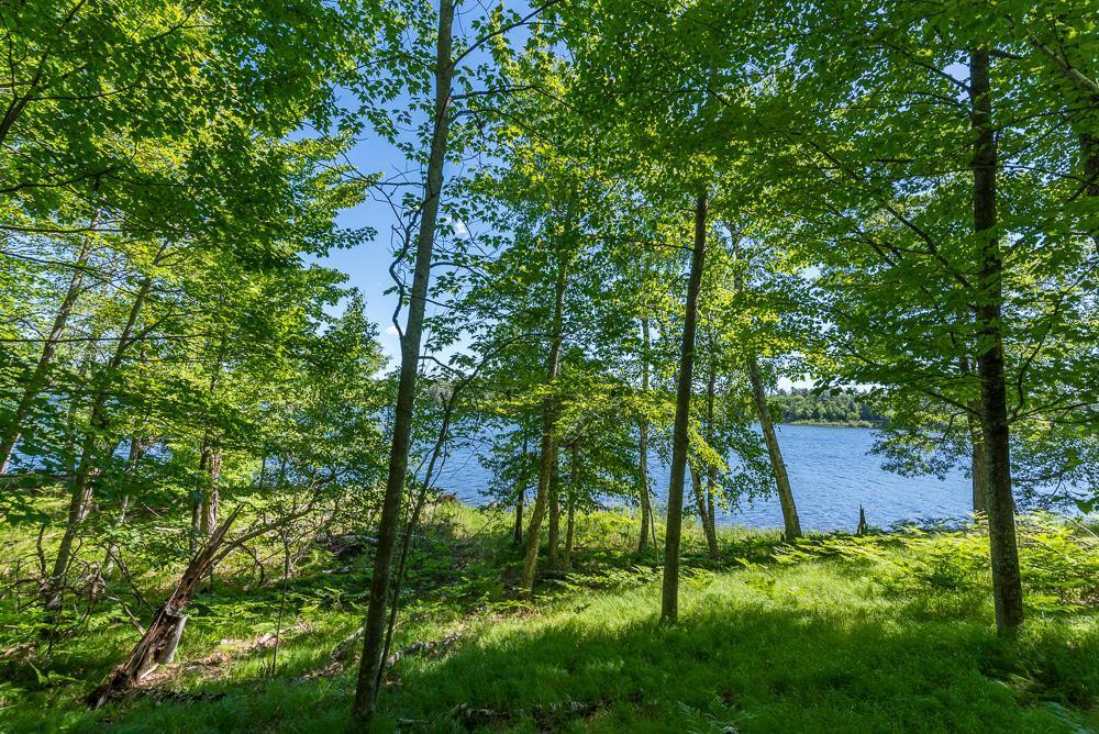 24549 Perrin Pt.