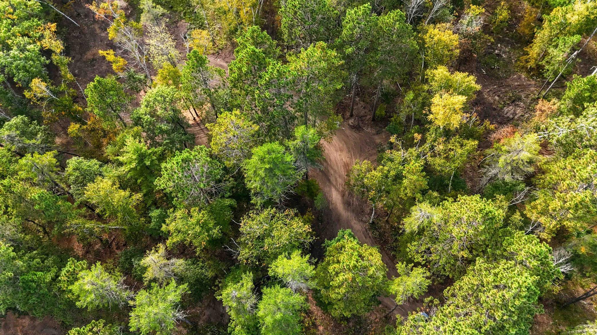 35375 Pine Terrace Road