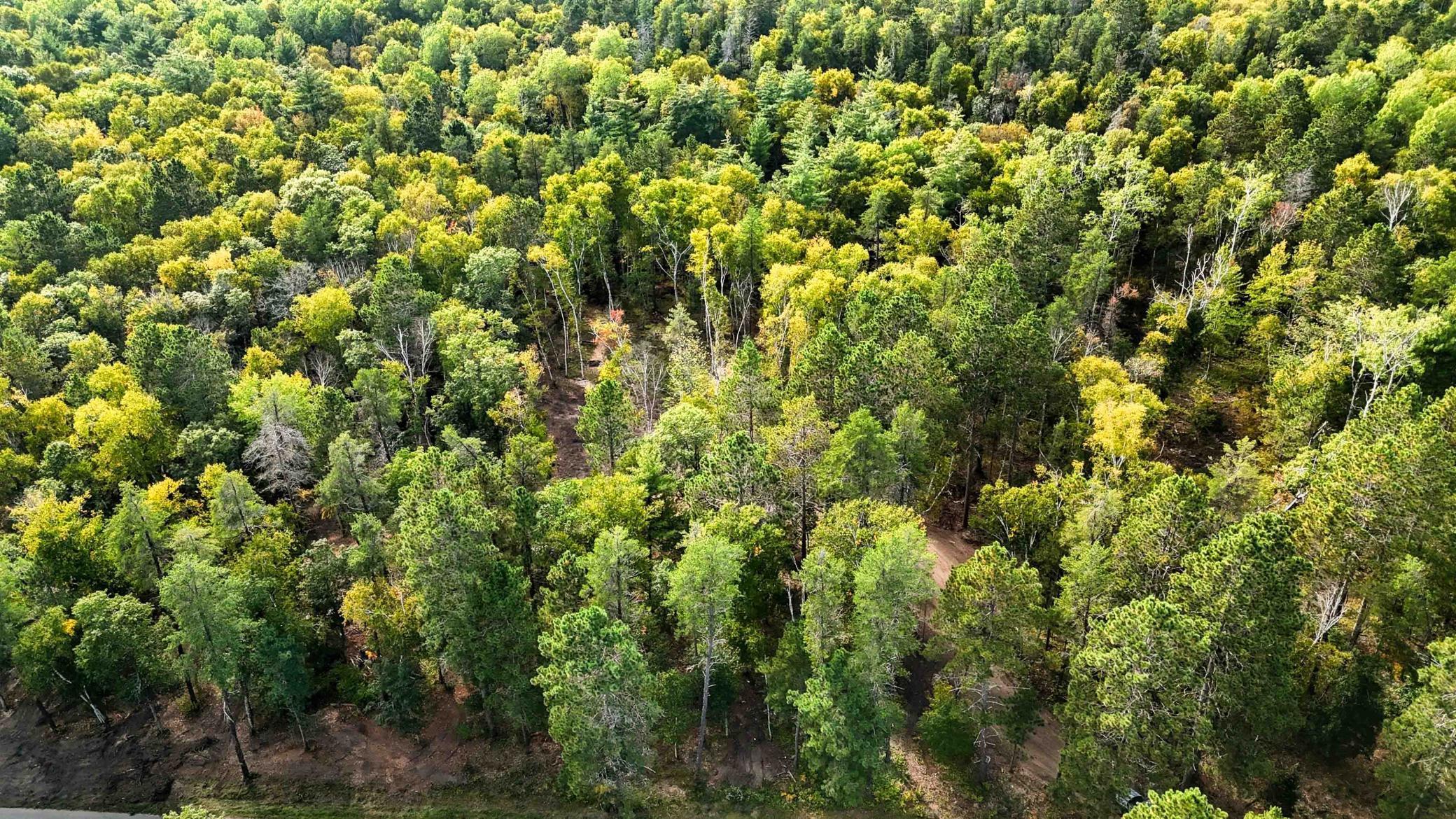 35375 Pine Terrace Road