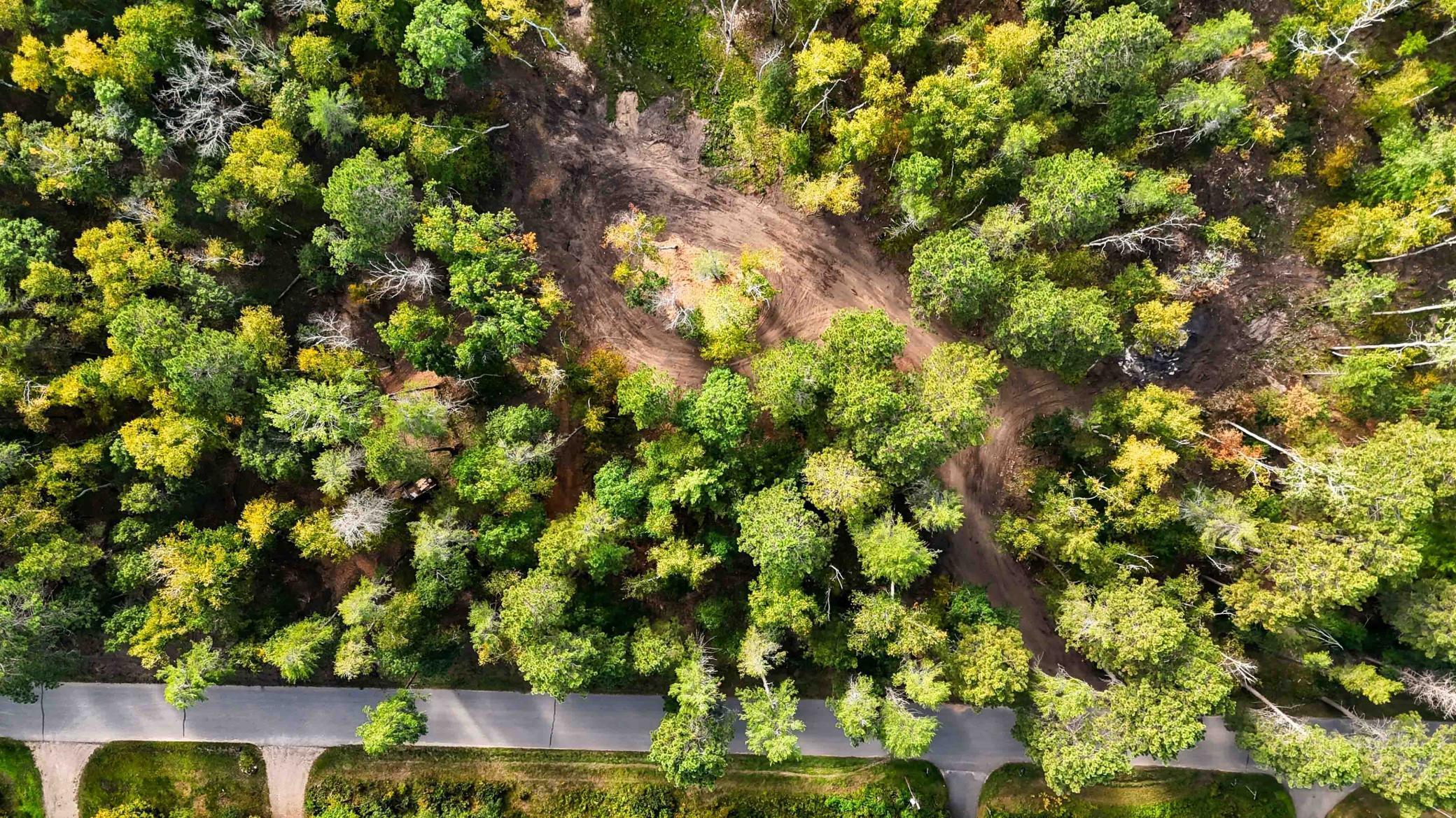 35375 Pine Terrace Road