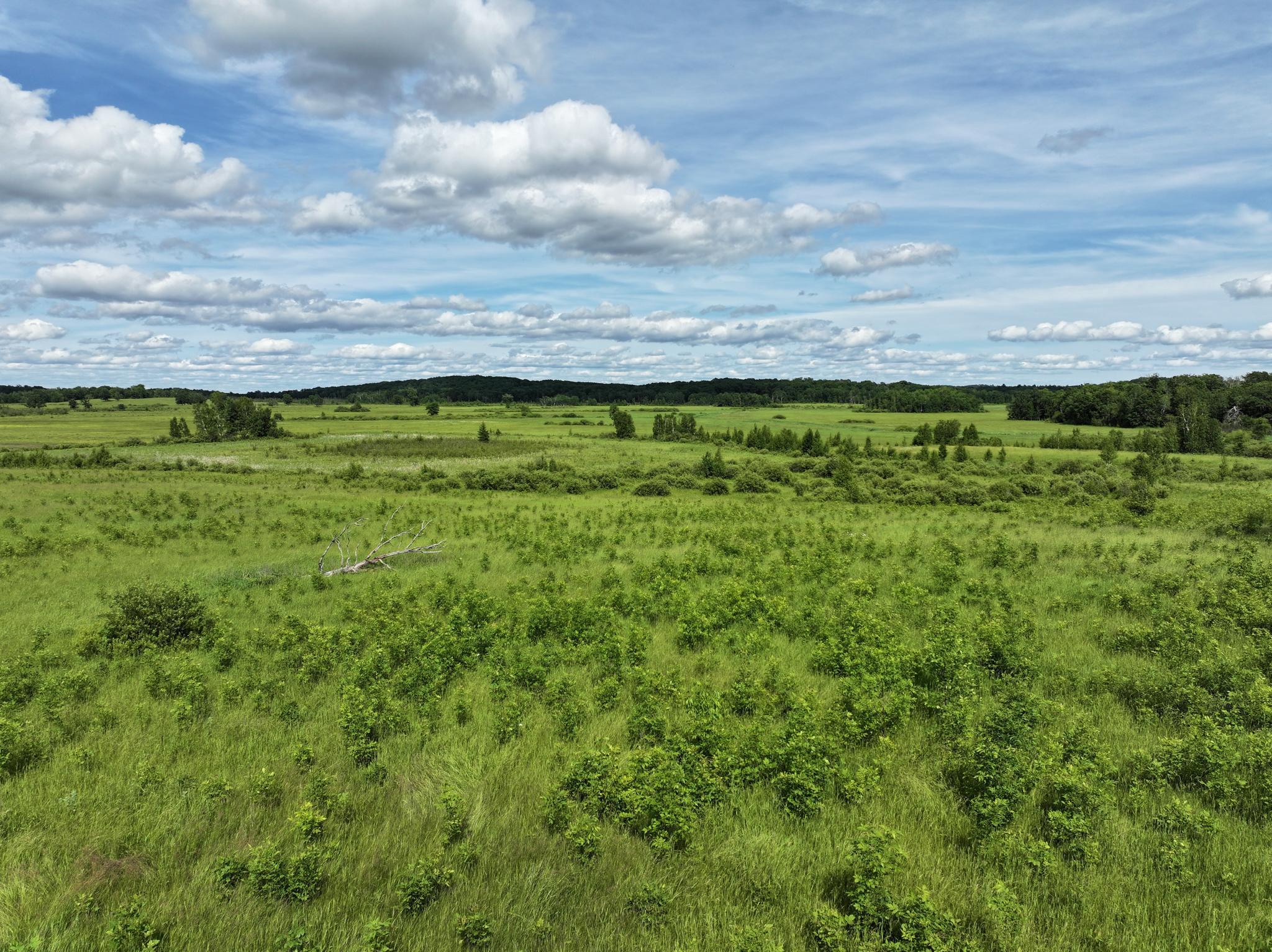 9884 County Road 1 SW